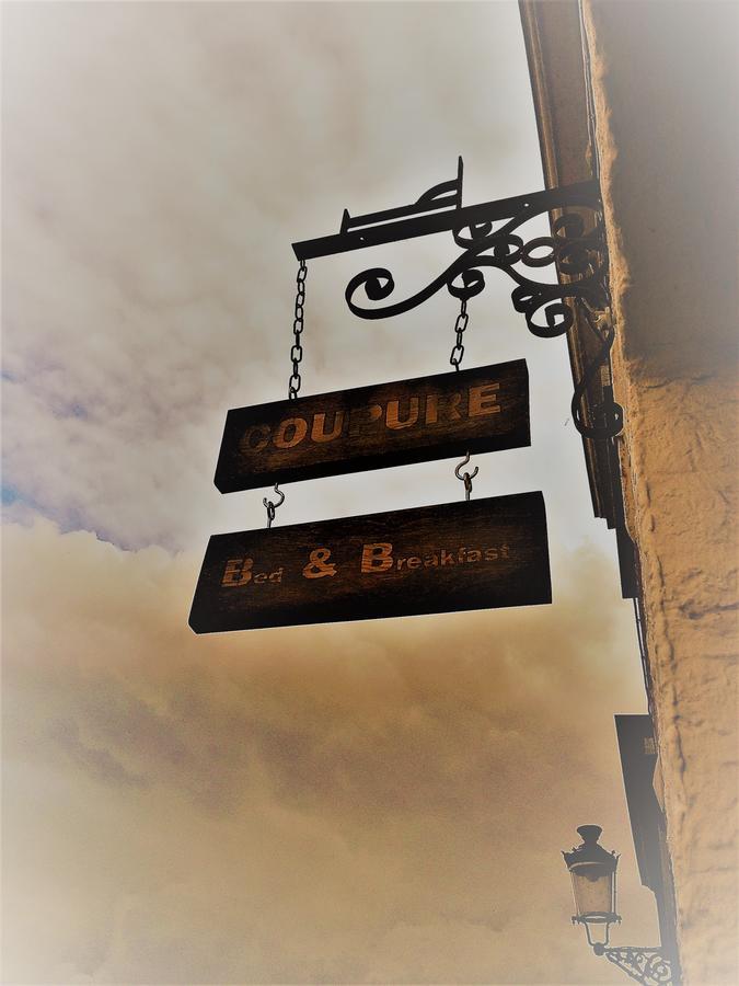 B&B Coupure Bruges Exterior photo